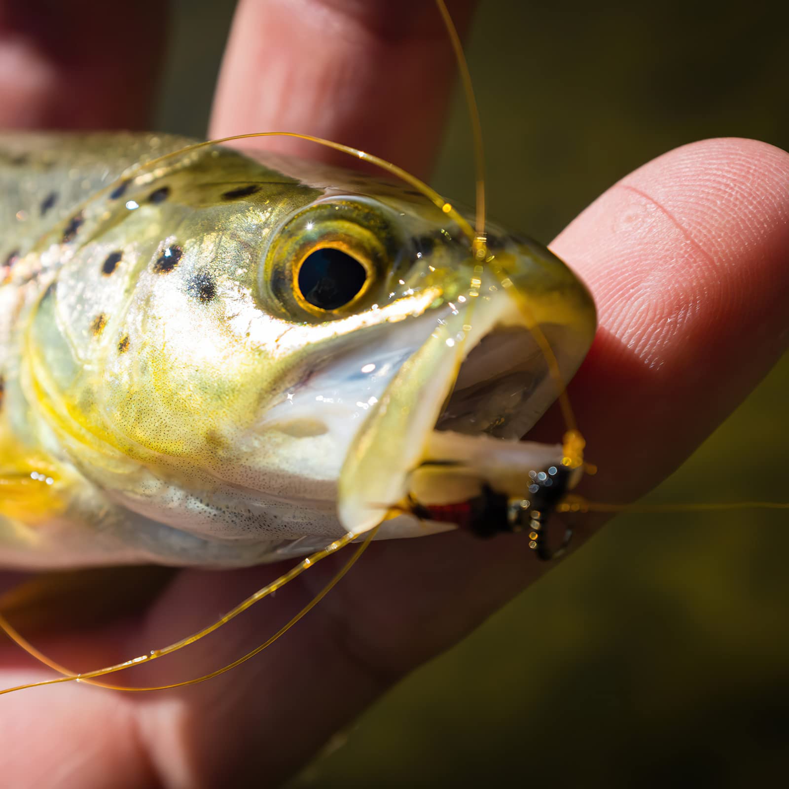 Goture 25-100pcs Fly Fishing F - Fishing Equipment Fly ulasan dan harga
